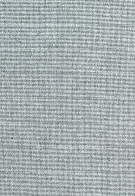 Schumacher Fabric CORSICA WEAVE SKY