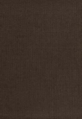 Schumacher Fabric CORSICA WEAVE ESPRESSO