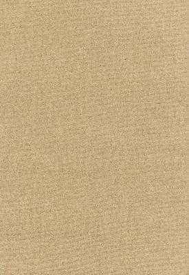 Schumacher Fabric ALPACA VELVET CAMEL