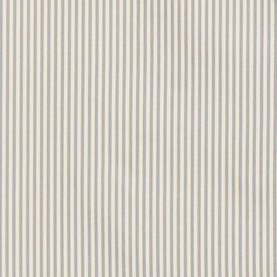 Schumacher Fabric CHAREE SILK STRIPE BLUE AND WHITE
