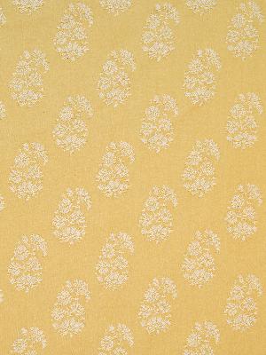 Schumacher Fabric ASTARA PAISLEY MAIZE