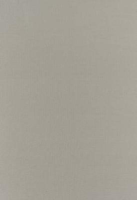 Schumacher Fabric BOTTICELLI SILK TAFFETA FOG