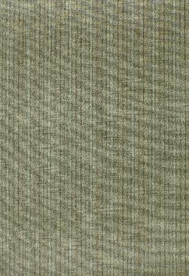 Schumacher Fabric ANTIQUE STRIE VELVET BALSAM