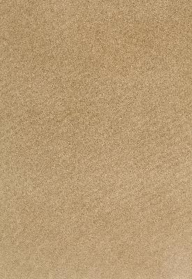 Schumacher Fabric BAYEUX VELVET PUTTY