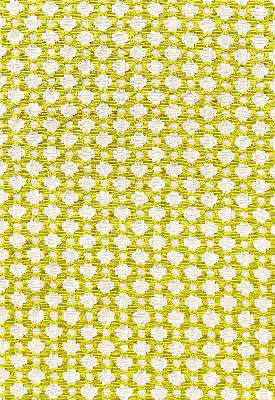 Schumacher Fabric BETWIXT CHARTREUSE / IVORY