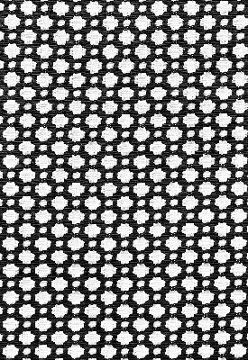 Schumacher Fabric BETWIXT BLACK / WHITE