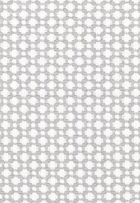 Schumacher Fabric BETWIXT ZINC/BLANC