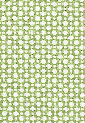 Schumacher Fabric BETWIXT LEAF/BLANC