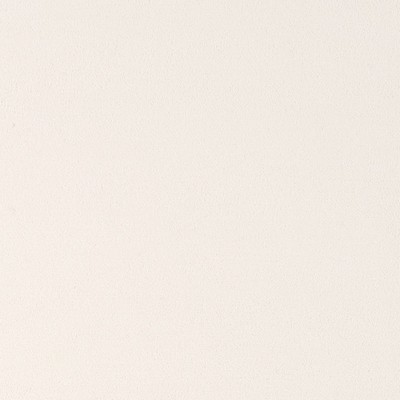 Schumacher Fabric MONACO VELVET OYSTER