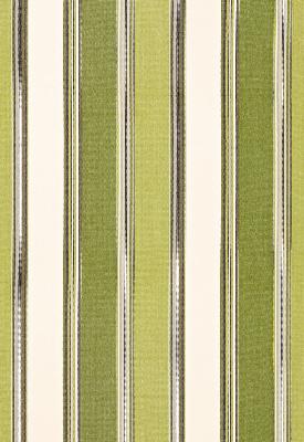 Schumacher Fabric ADDISON COTTON STRIPE VERT