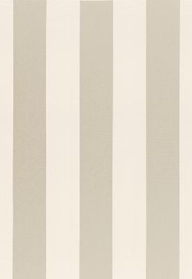 Schumacher Fabric BEAUFORT AWNING STRIPE PLATINUM
