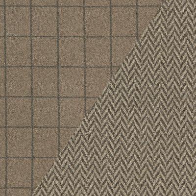 Schumacher Fabric COLORADO DRIFTWOOD / ASH