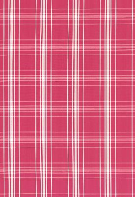 Schumacher Fabric BELIZE PLAID AZALEA