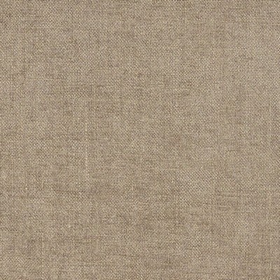 Schumacher Fabric AUDEN GREIGE
