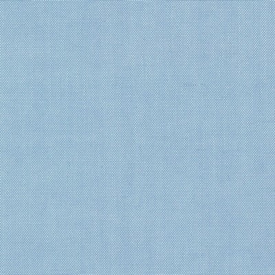 Schumacher Fabric BARNETT BLUE JAY