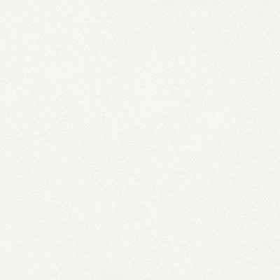 Schumacher Fabric BLAKE CLOUD