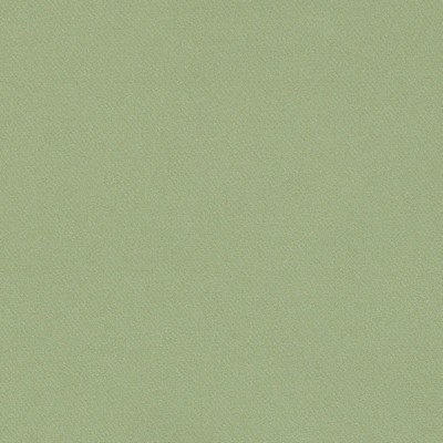 Schumacher Fabric BLAKE MOSS