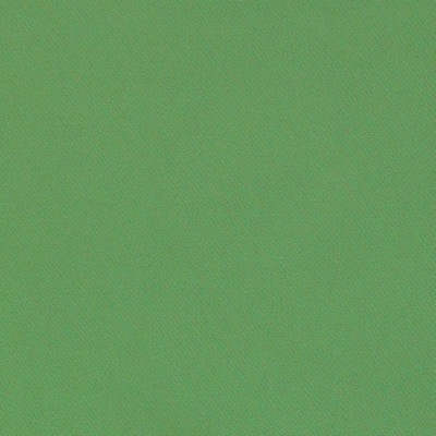 Schumacher Fabric BLAKE GRASS