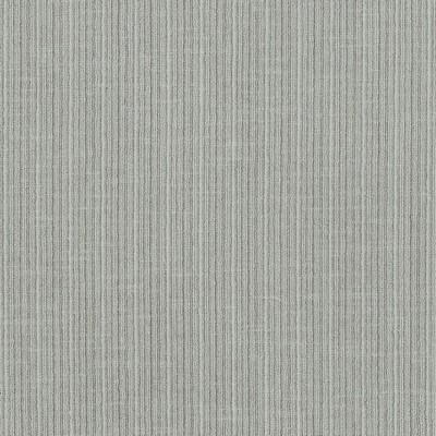 Schumacher Fabric ANTIQUE STRIE VELVET PLATINUM