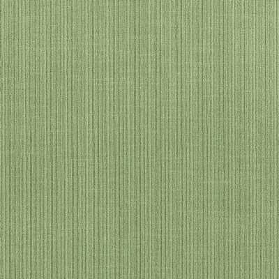 Schumacher Fabric ANTIQUE STRIE VELVET ALOE