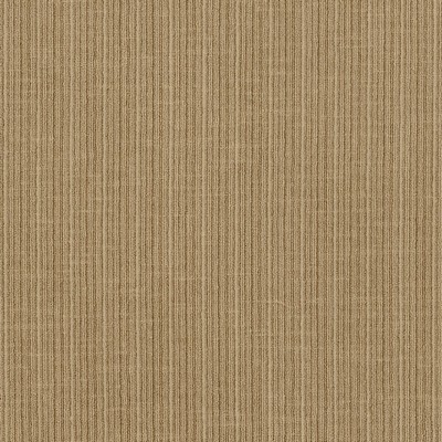 Schumacher Fabric ANTIQUE STRIE VELVET REED
