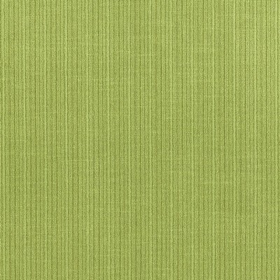 Schumacher Fabric ANTIQUE STRIE VELVET LIME