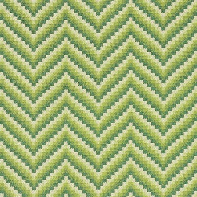 Schumacher Fabric WILDER GRASS
