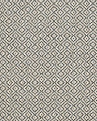 Schumacher Fabric Lessing Charcoal Fabric