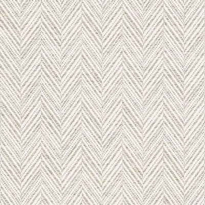 Schumacher Fabric DAVIS BIRCH