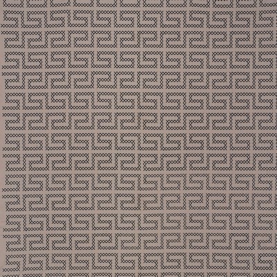 Schumacher Fabric A MAZE EMBROIDERY STONE