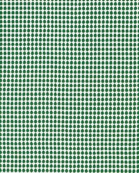 Schumacher Fabric Zipster Green Fabric