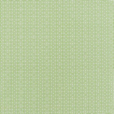 Schumacher Fabric CHINOIS FRET GREEN/WHITE