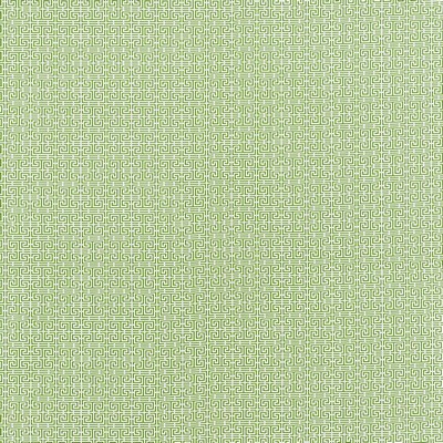 Schumacher Fabric CHINOIS FRET GREEN/WHITE
