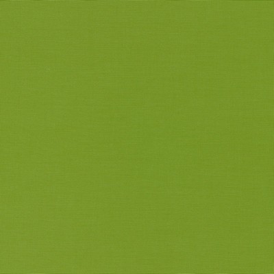 Schumacher Fabric ALASSIO LIME