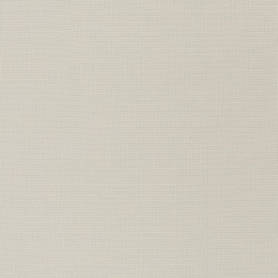 Schumacher Fabric MONDELLO PLATINUM