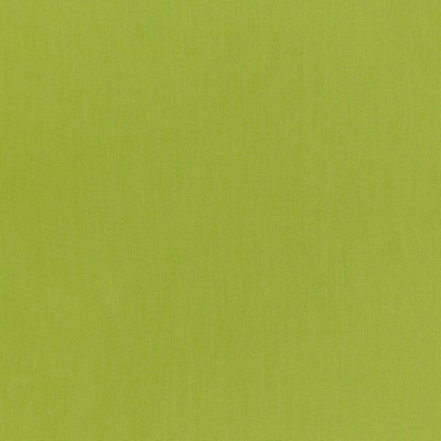 Schumacher Fabric RAVELLO SPRIG