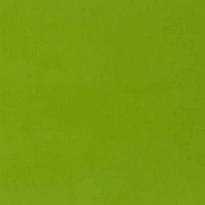 Schumacher Fabric RAVELLO LEAF