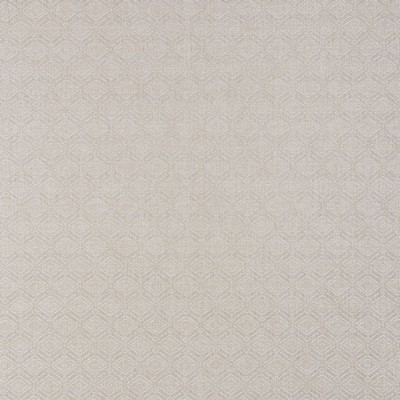 Schumacher Fabric ANDERSON MOONSTONE
