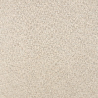 Schumacher Fabric ANDERSON BAMBOO