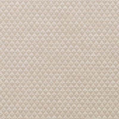 Schumacher Fabric EVANS STONE