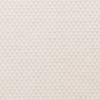 Schumacher Fabric EVANS DOVE