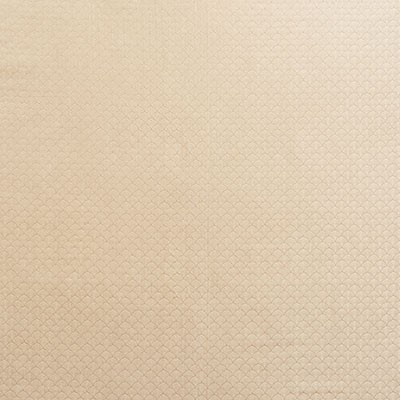 Schumacher Fabric ASHTON CHAMPAGNE