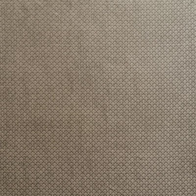 Schumacher Fabric ASHTON FLINT