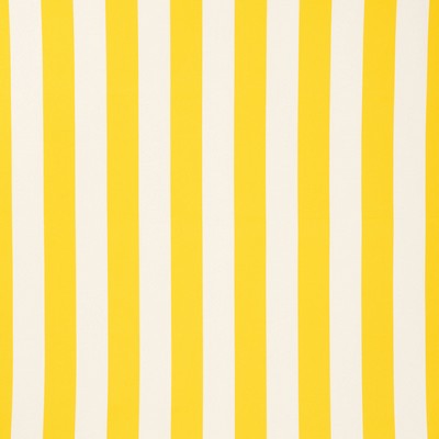 Schumacher Fabric CABANA STRIPE YELLOW