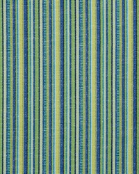Schumacher Fabric Primavera Stripe Meadow Fabric