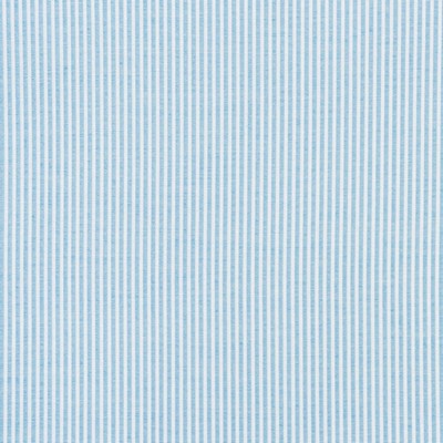 Schumacher Fabric EASTON STRIPE SKY