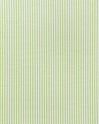 Schumacher Fabric Easton Stripe Leaf Fabric