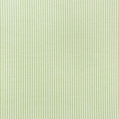 Schumacher Fabric EASTON STRIPE LEAF