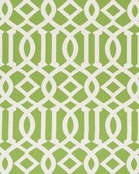 Schumacher Fabric Imperial Trellis Indoor/outdoor Leaf Fabric