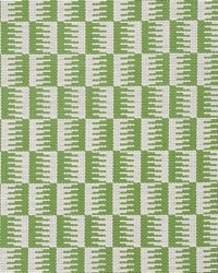 Schumacher Fabric Dovetail Green Fabric